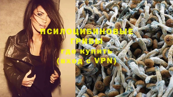 ГАЛЛЮЦИНОГЕННЫЕ ГРИБЫ Баксан