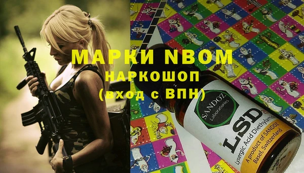 стафф Коряжма