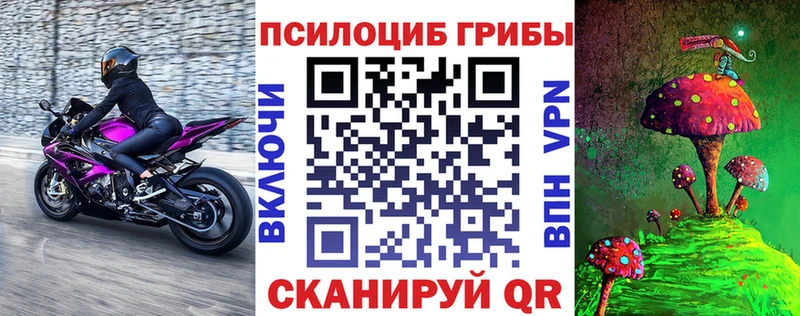 Псилоцибиновые грибы Psilocybine cubensis  Краснослободск 
